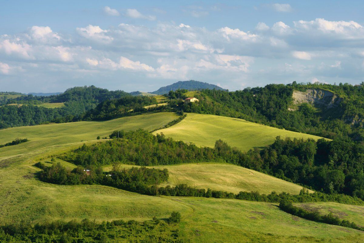 Trekking all'Abbazia di Monteveglio nei Colli Bolognesi desktop picture