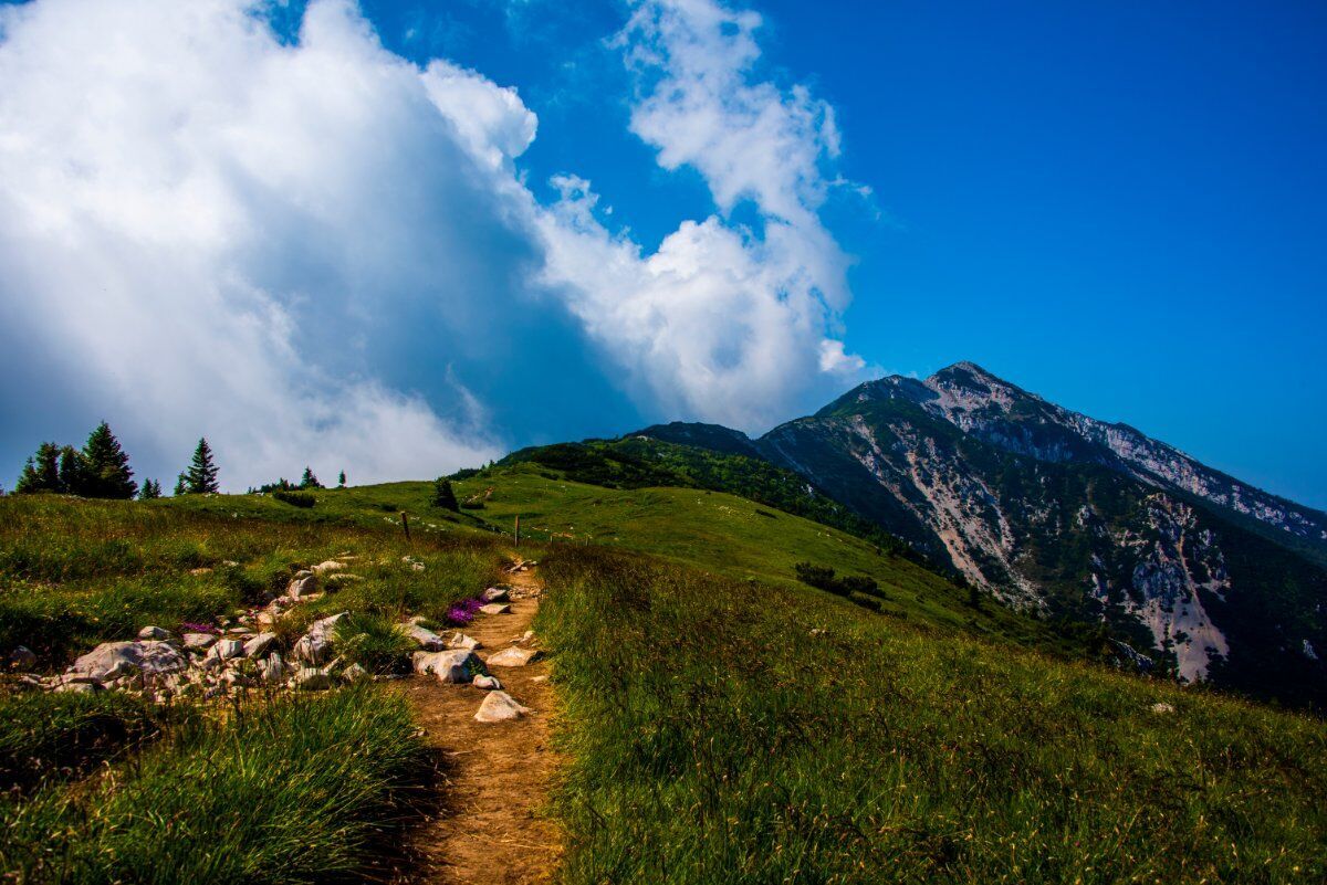 Escursione Panoramica al Passo Crocetta Escursione Panoramica al Passo Crocetta desktop picture