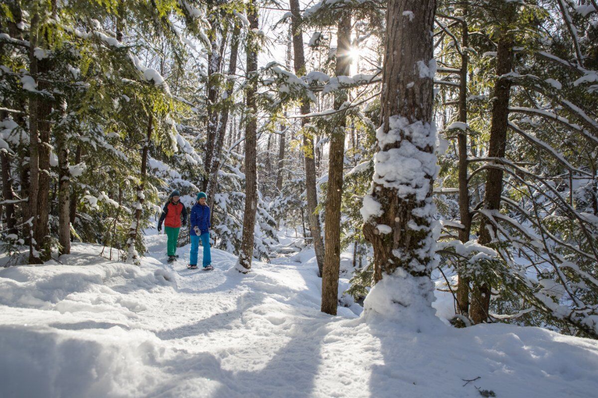 Ciaspolata a Sella Morteis con Vista sulle Alpi Liguri (Con Esperienza) Ciaspolata a Sella Morteis con Vista sulle Alpi Liguri (Con Esperienza) desktop picture