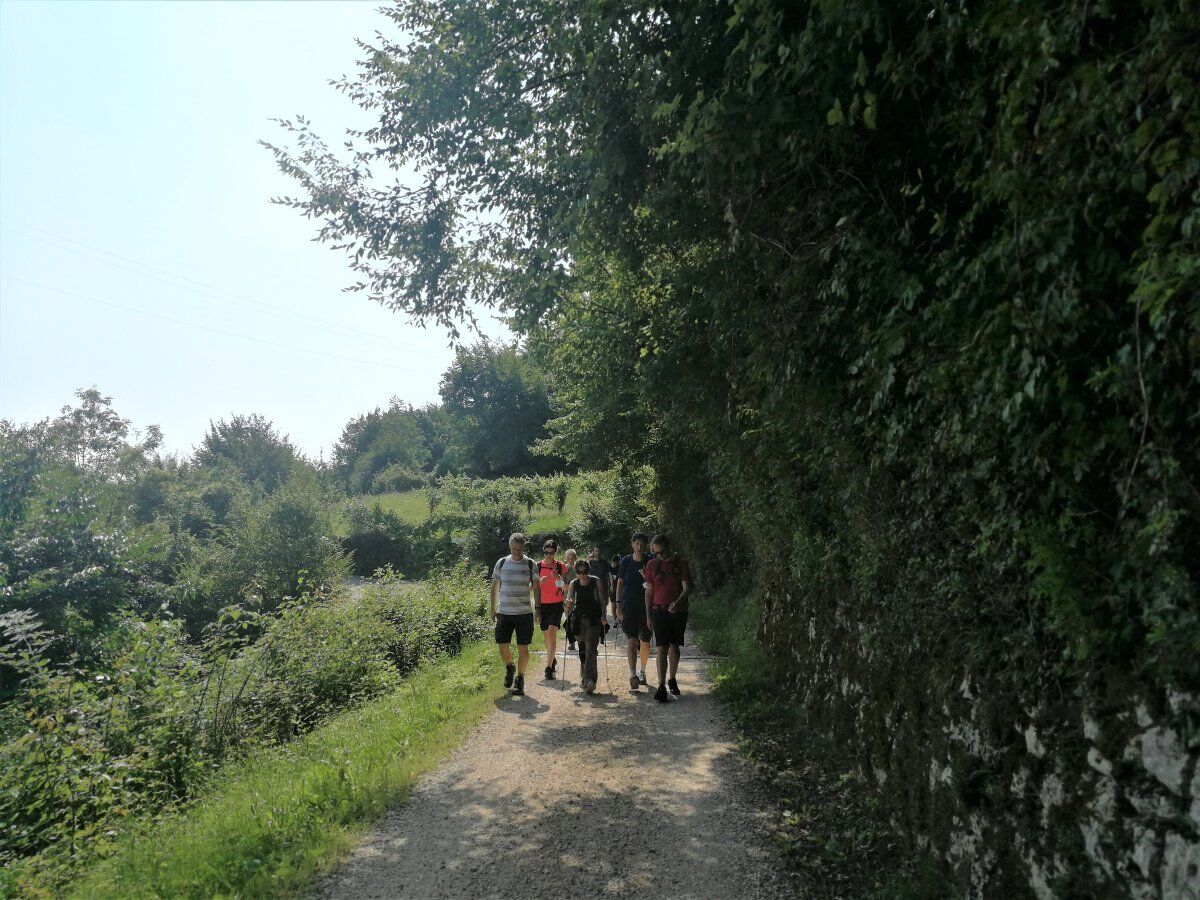 Sui monti di Priabona: Trekking alle Grotte Soffianti Sui monti di Priabona: Trekking alle Grotte Soffianti desktop picture