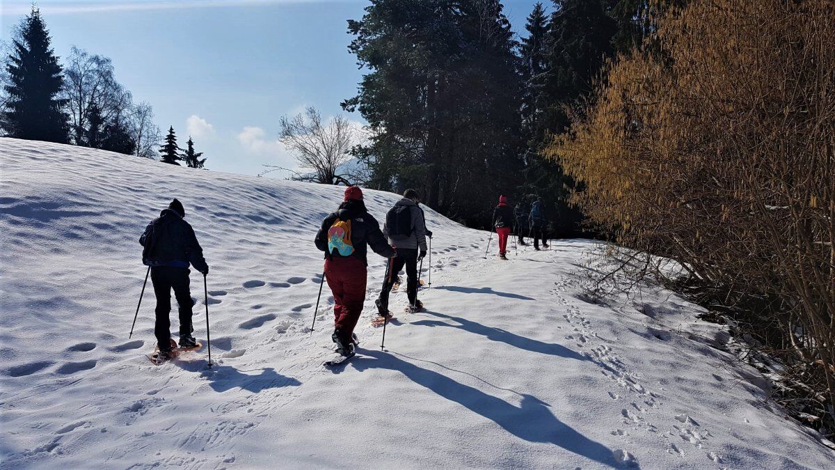 Ciaspolata lungo il Sentiero dei Grandi Alberi - Prima Parte Ciaspolata lungo il Sentiero dei Grandi Alberi - Prima Parte desktop picture