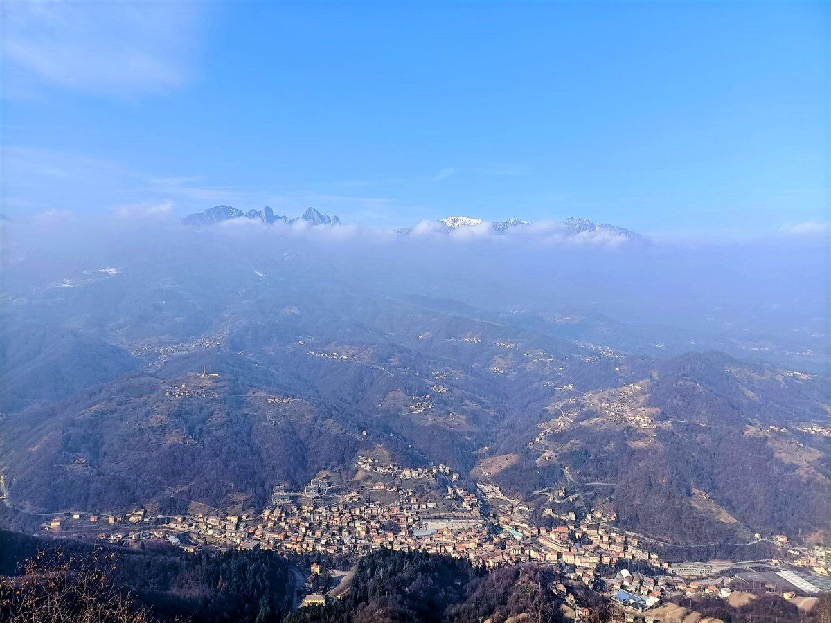 Ciaspolata lungo il Sentiero dei Grandi Alberi - Prima Parte Ciaspolata lungo il Sentiero dei Grandi Alberi - Prima Parte desktop picture