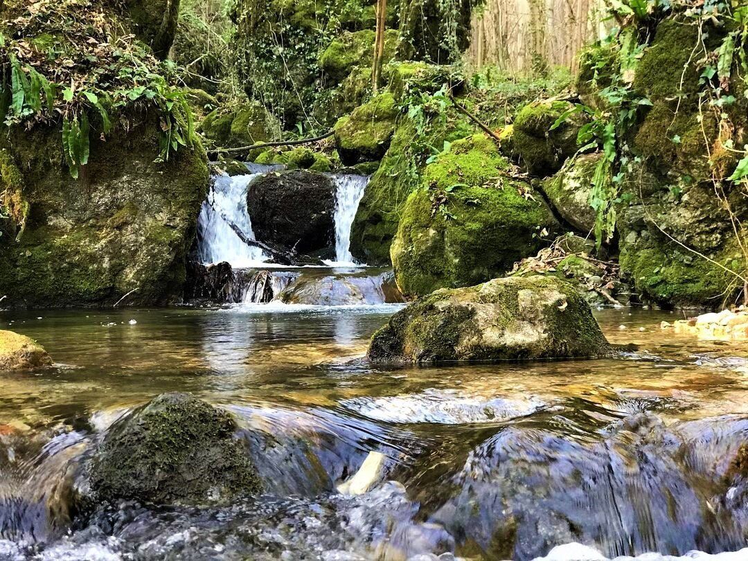 Passeggiata al Tretto: Tra Miniere, Torrenti e Contrade Passeggiata al Tretto: Tra Miniere, Torrenti e Contrade desktop picture