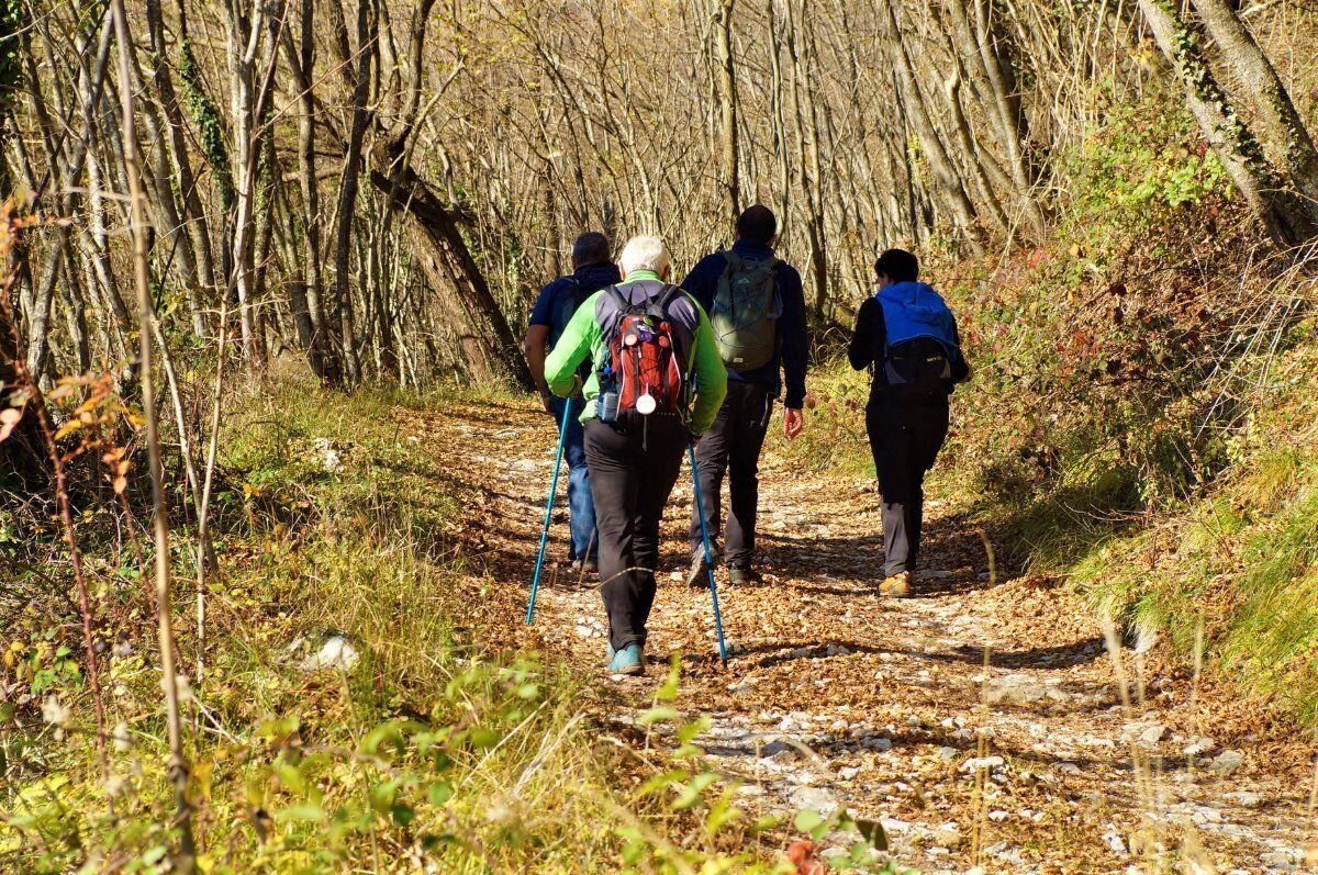 Escursione a Malga Realto nelle Prealpi Vicentine Escursione a Malga Realto nelle Prealpi Vicentine desktop picture