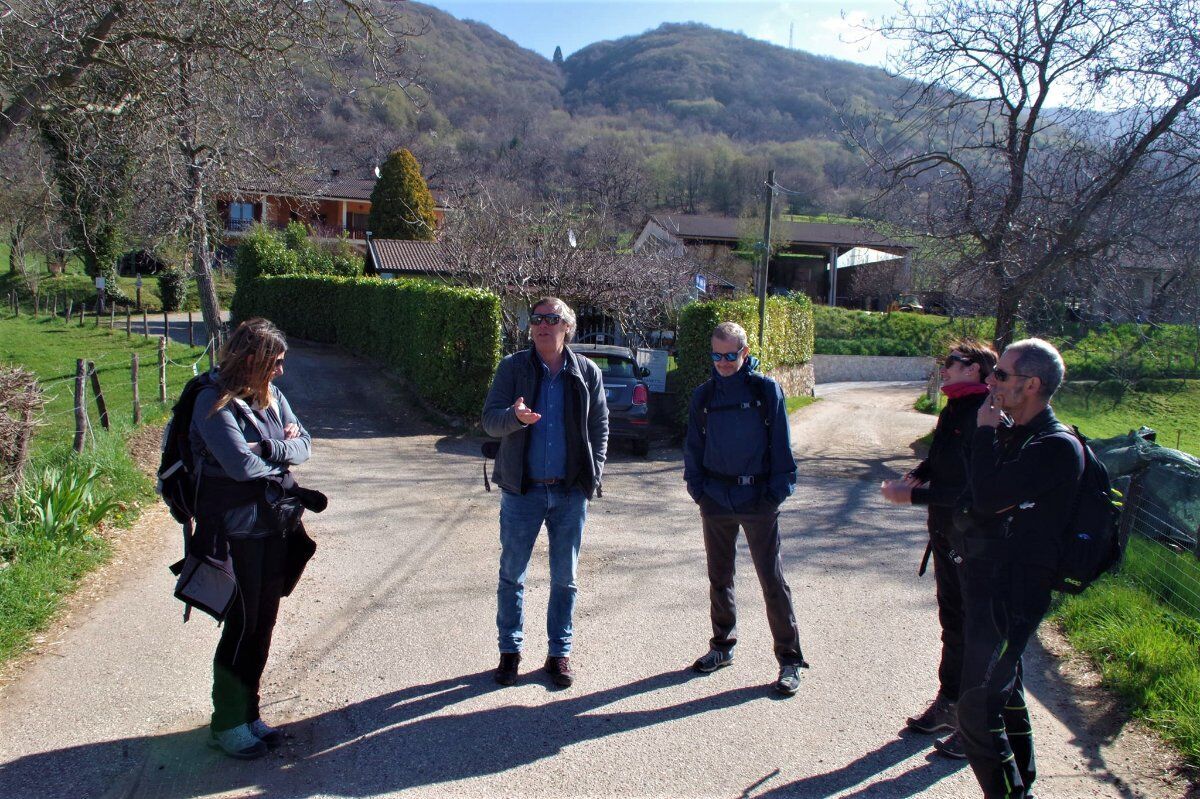 Monte Belpo e Hamlet’s circuit: camminate con vista sul Lago di Garda Monte Belpo e Hamlet’s circuit: camminate con vista sul Lago di Garda desktop picture