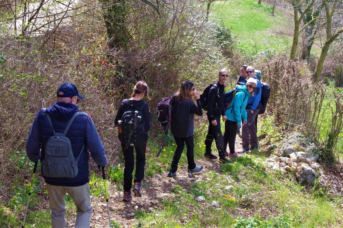 Monte Belpo e Hamlet’s circuit: camminate con vista sul Lago di Garda Monte Belpo e Hamlet’s circuit: camminate con vista sul Lago di Garda desktop picture