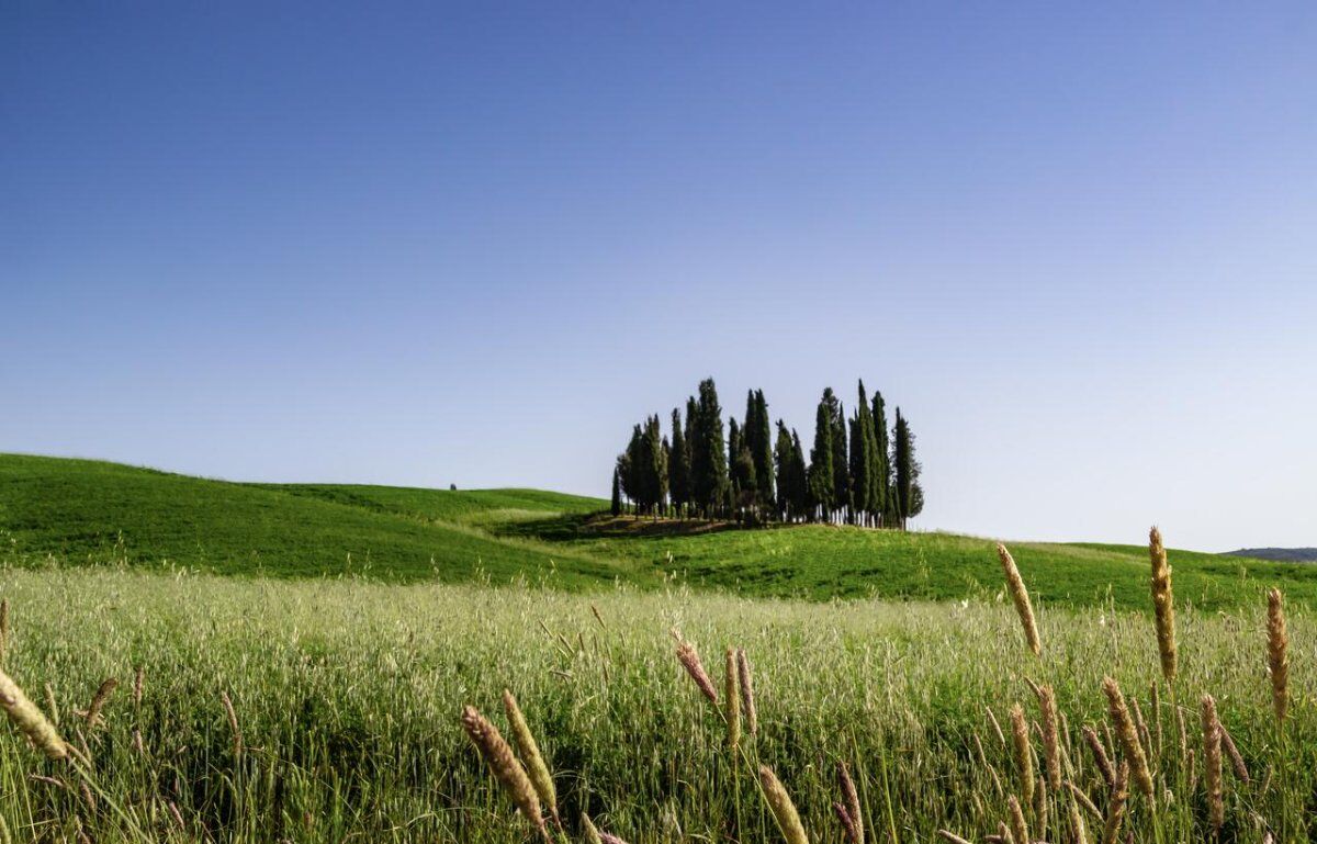 Ponte dell'Immacolata in Val d'Orcia Ponte dell'Immacolata in Val d'Orcia desktop picture