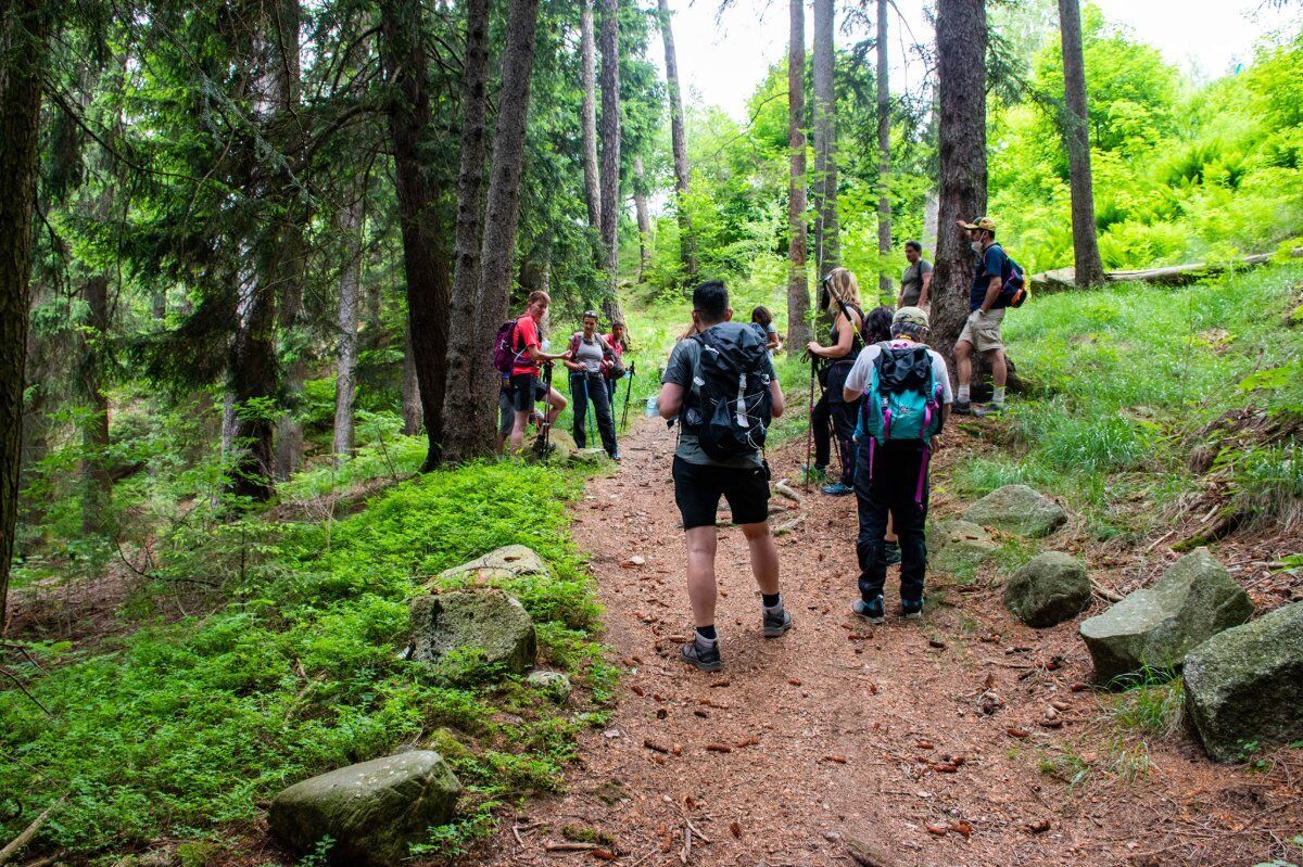 Valsaviore: Trekking tra Storia e Natura desktop picture