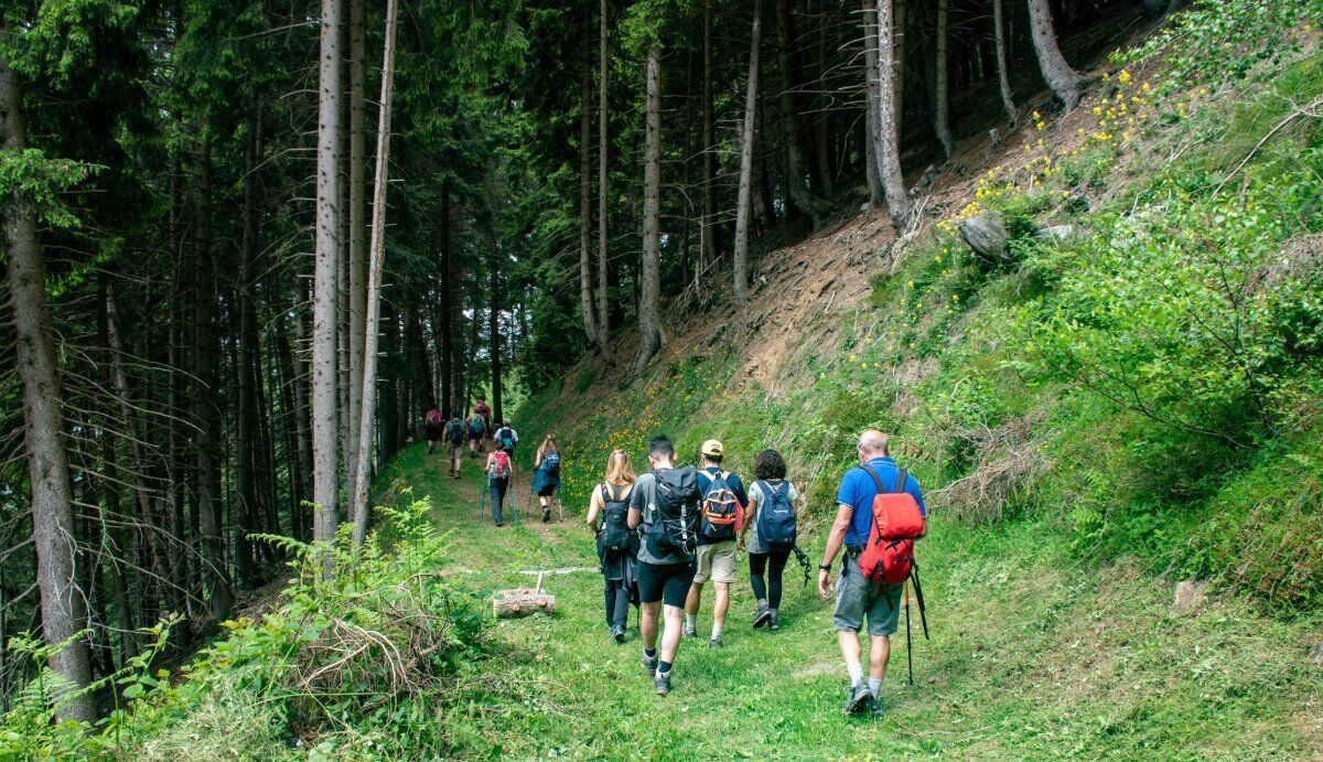 Valsaviore: Trekking tra Storia e Natura desktop picture