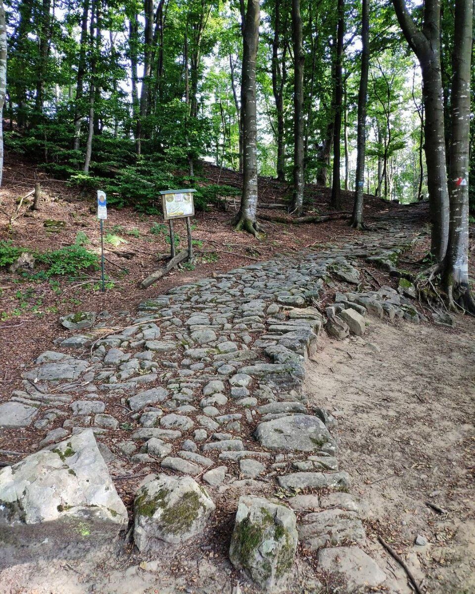 Nel Parco dei Gessi sulla Via Flaminia Minor Nel Parco dei Gessi sulla Via Flaminia Minor desktop picture