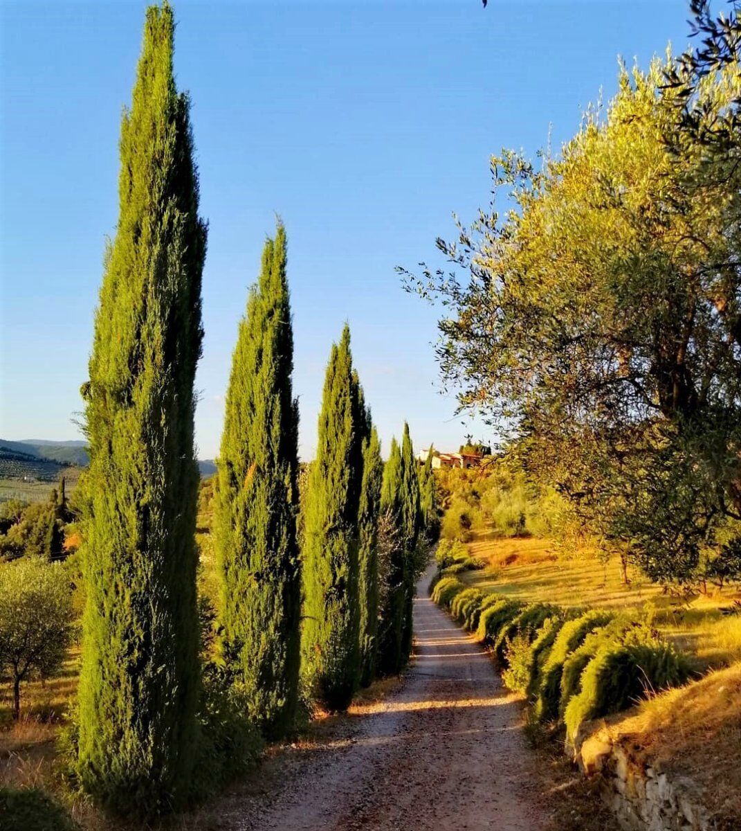 Il Sentiero dei Borghi e delle Colline con Vista su Firenze Il Sentiero dei Borghi e delle Colline con Vista su Firenze desktop picture