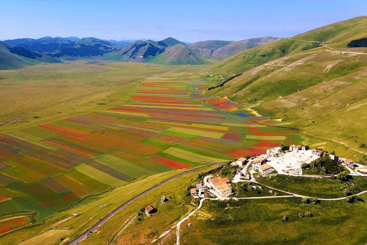 La Fioritura a Castelluccio di Norcia: viaggio in bus da Verona La Fioritura a Castelluccio di Norcia: viaggio in bus da Verona desktop picture