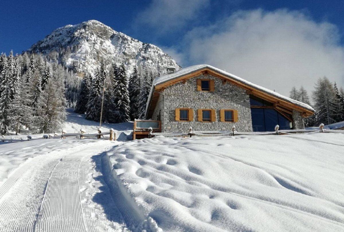 Ciaspolata a Malga Maraia nelle Dolomiti del Cadore - CIASPOLE NON INCLUSE  (Principianti) desktop picture