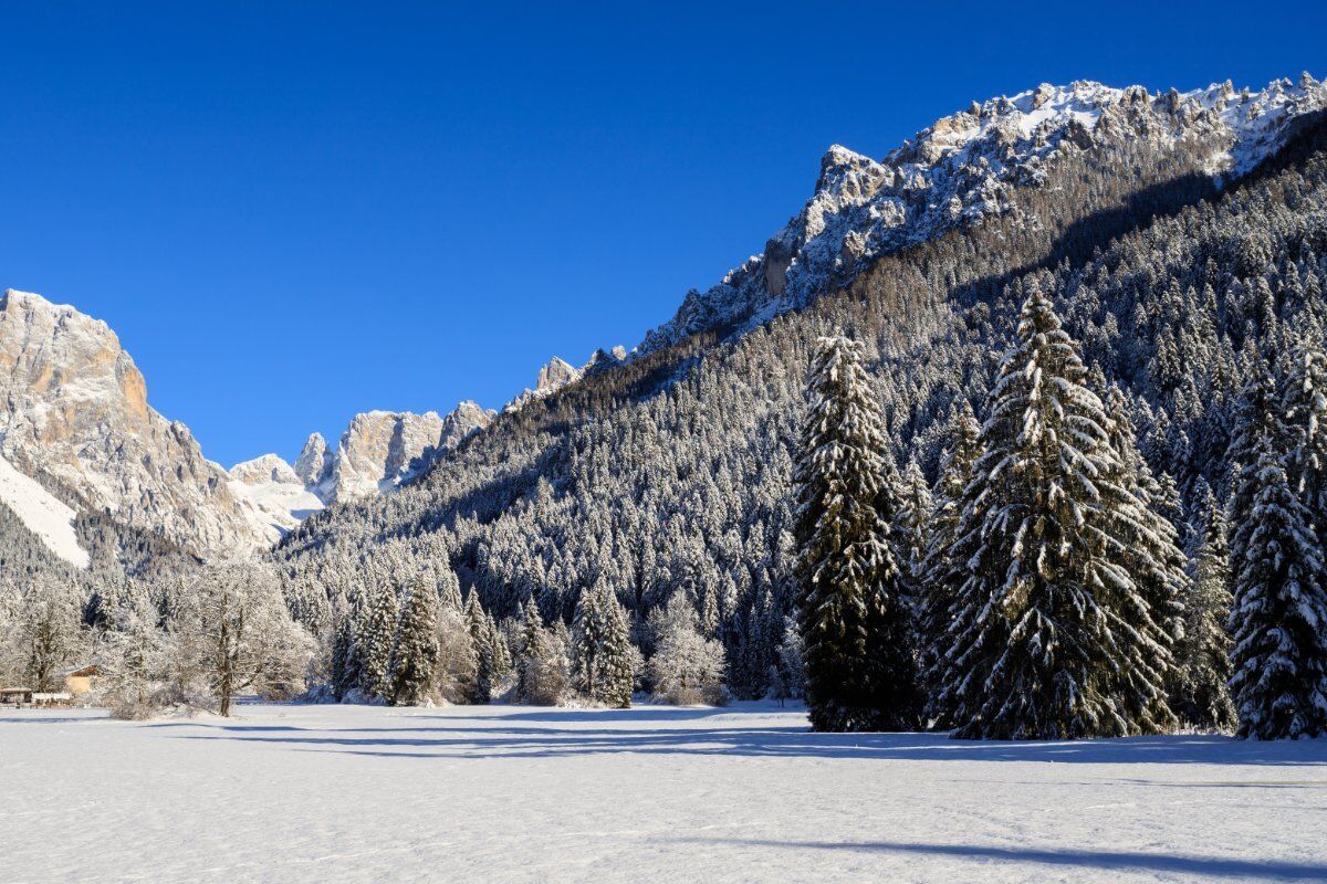 Ciaspolata in Val Canali ai piedi delle Pale di San Martino - PRINCIPIANTI Ciaspolata in Val Canali ai piedi delle Pale di San Martino - PRINCIPIANTI desktop picture