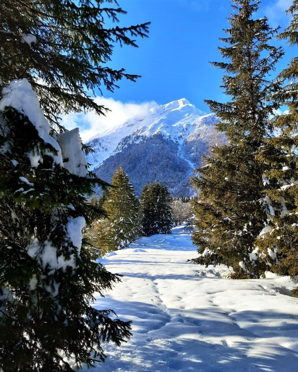 Ciaspolata a Piancavallo: Un'esperienza nella Natura Incontaminata Ciaspolata a Piancavallo: Un'esperienza nella Natura Incontaminata desktop picture