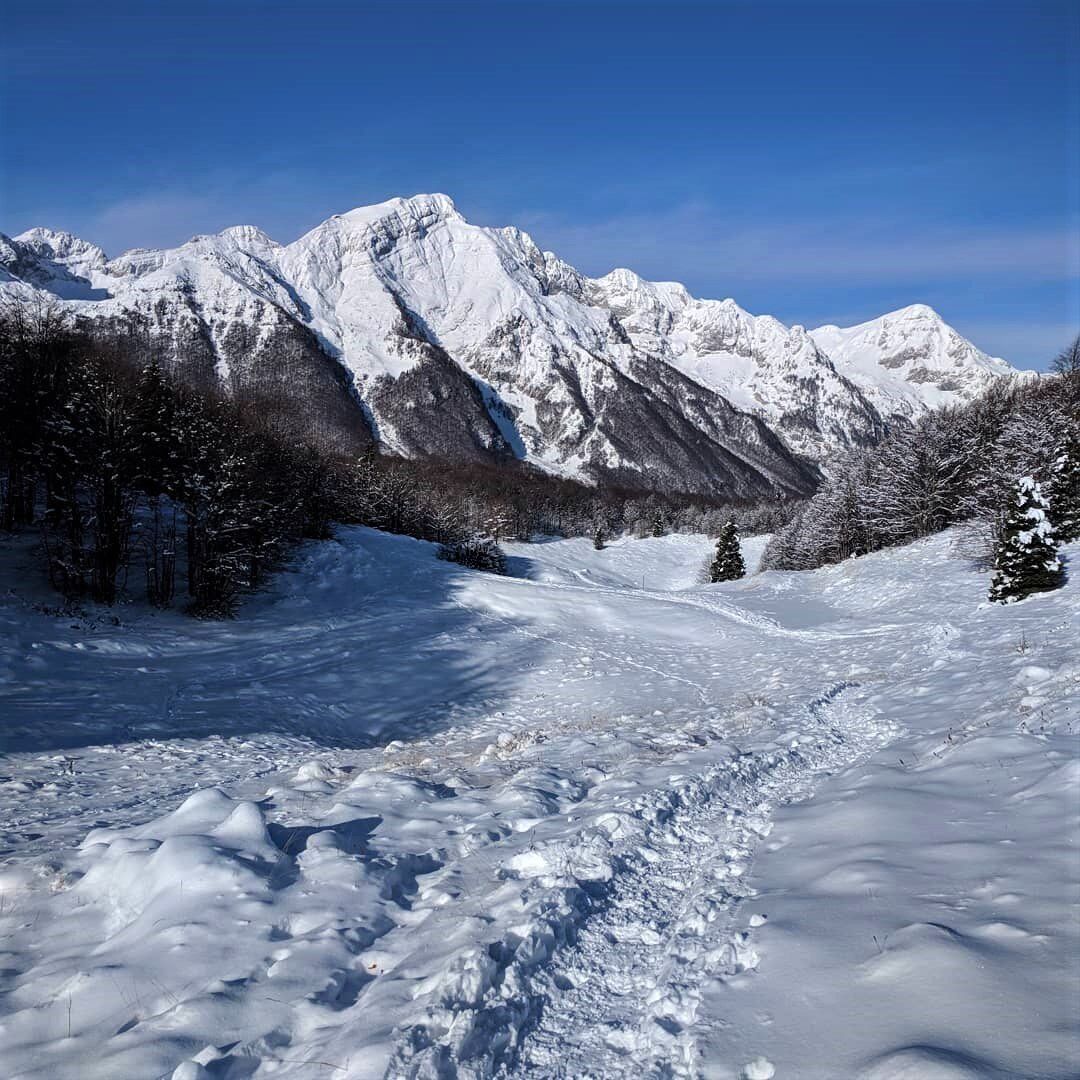 Ciaspolata a Piancavallo: Un'esperienza nella Natura Incontaminata Ciaspolata a Piancavallo: Un'esperienza nella Natura Incontaminata desktop picture
