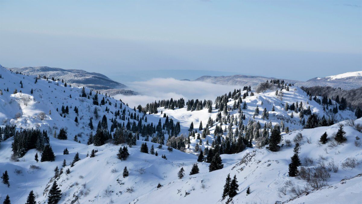 Ciaspolata a Piancavallo: Un'esperienza nella Natura Incontaminata Ciaspolata a Piancavallo: Un'esperienza nella Natura Incontaminata desktop picture