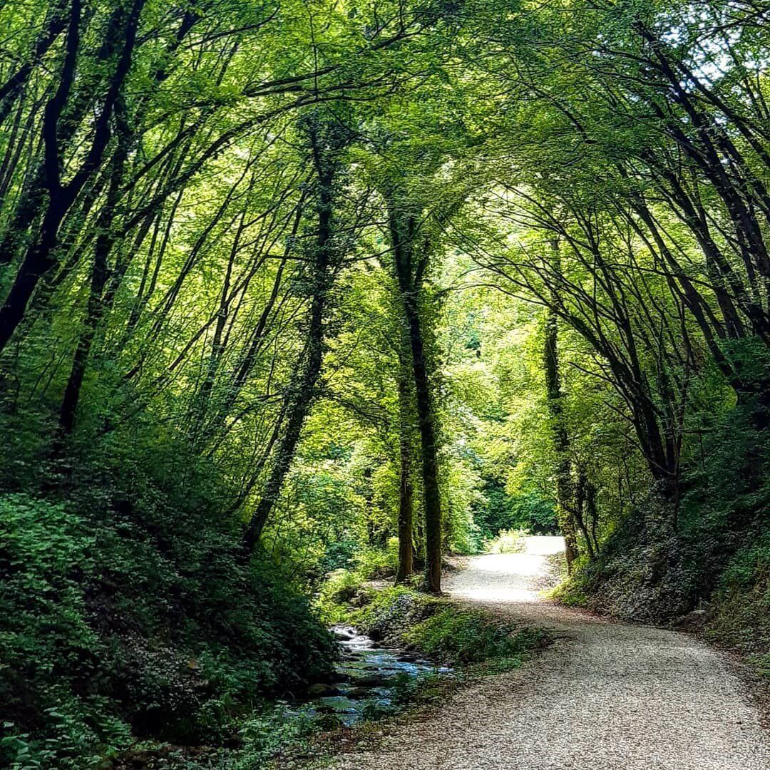 Pieve Torina: Una Camminata dal Vecchio Mulino all’Eremo di Sant’Angelo Pieve Torina: Una Camminata dal Vecchio Mulino all’Eremo di Sant’Angelo desktop picture