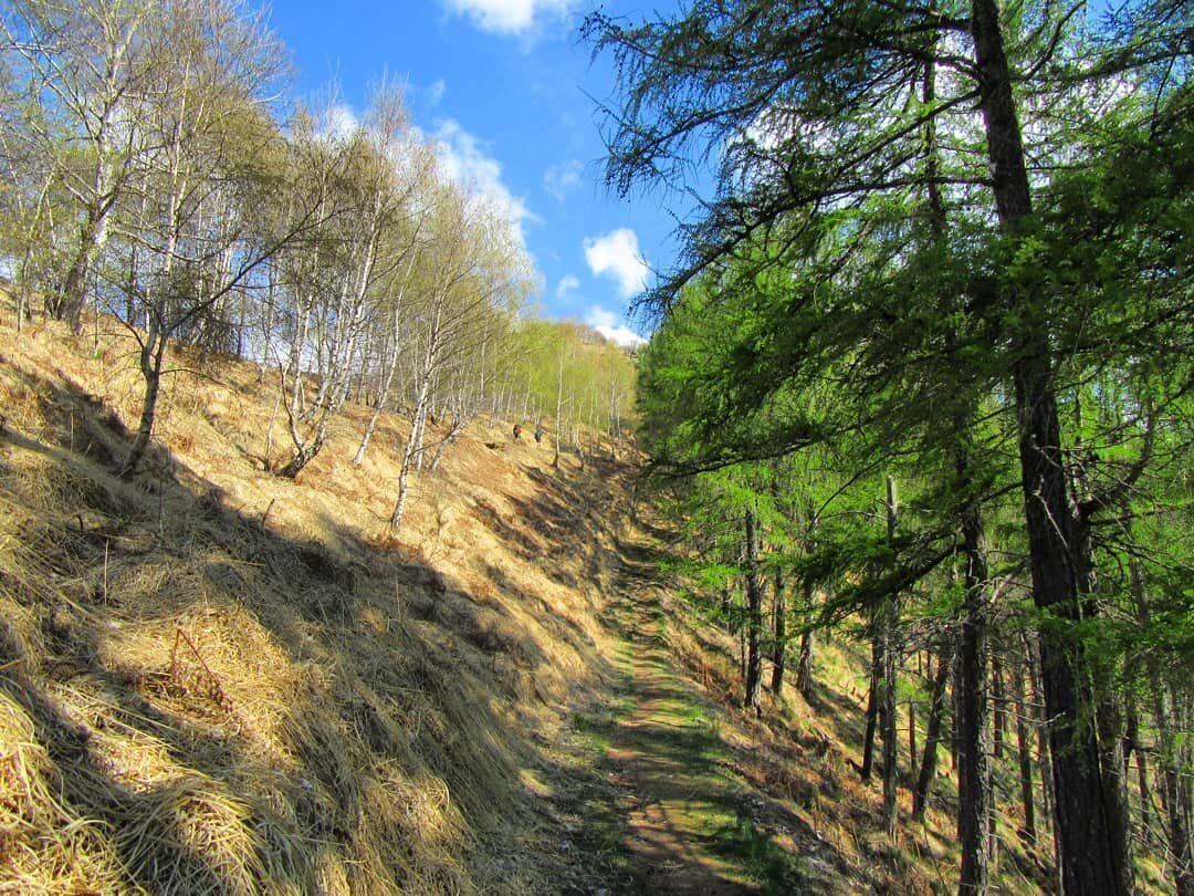 Monte Todum e Pizzo Pernice: Trekking tra la Val Grande e il Lago Maggiore desktop picture