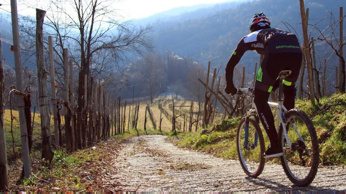 E-Bike Tour sulle Colline del Prosecco desktop picture