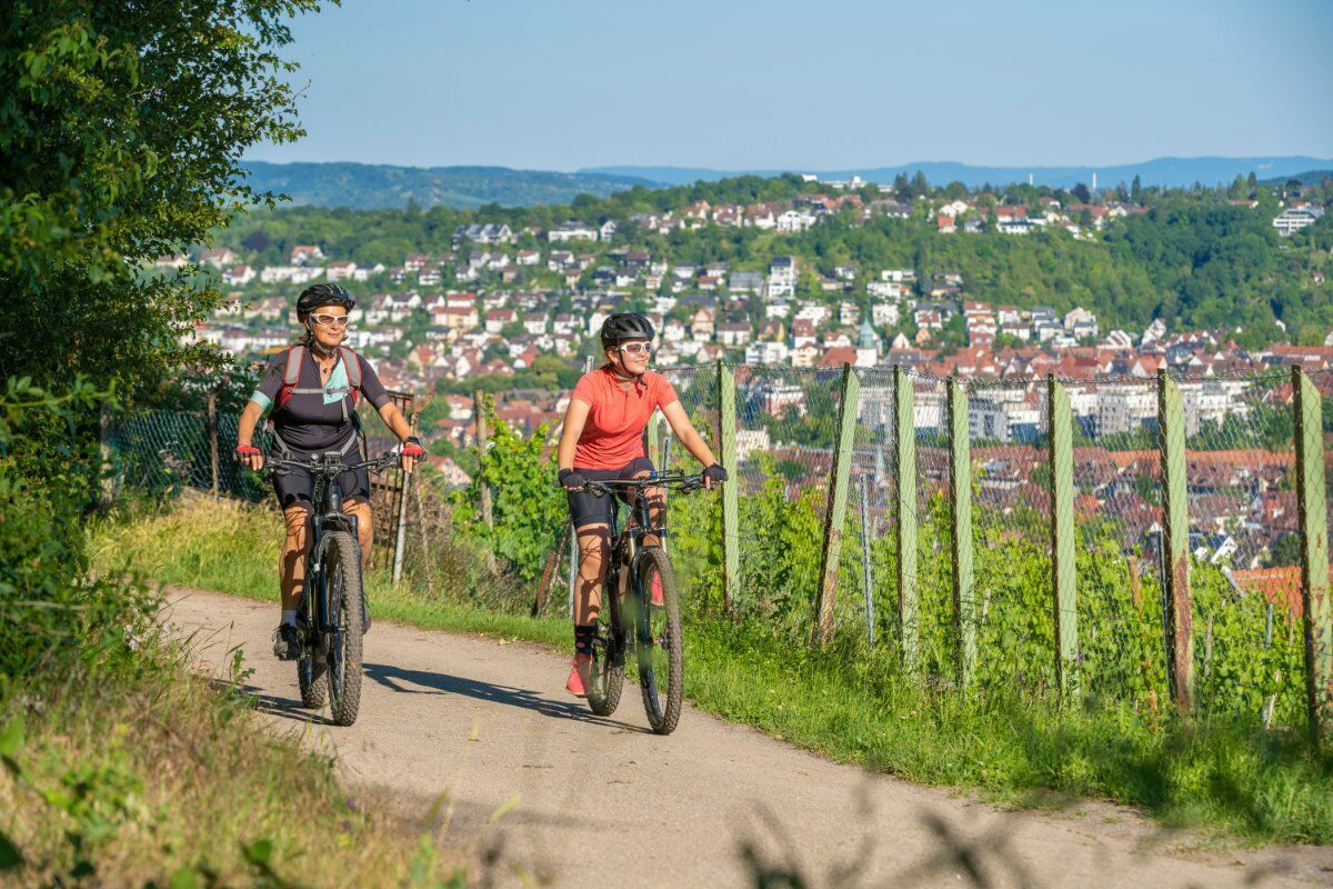 E-Bike Tour sulle Colline del Prosecco desktop picture