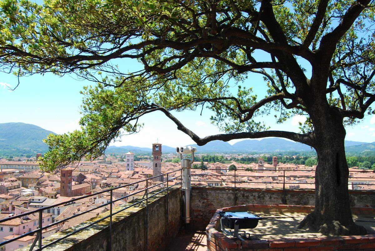 Lucca inedita: un armonioso Tour con vista sulla Città desktop picture