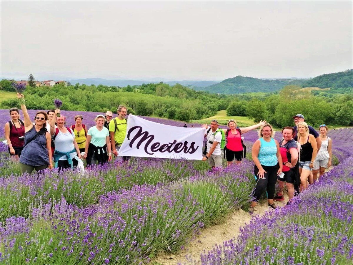 In un Mare di Lavanda: Escursione a Sale San Giovanni, la “Provenza Piemontese” desktop picture