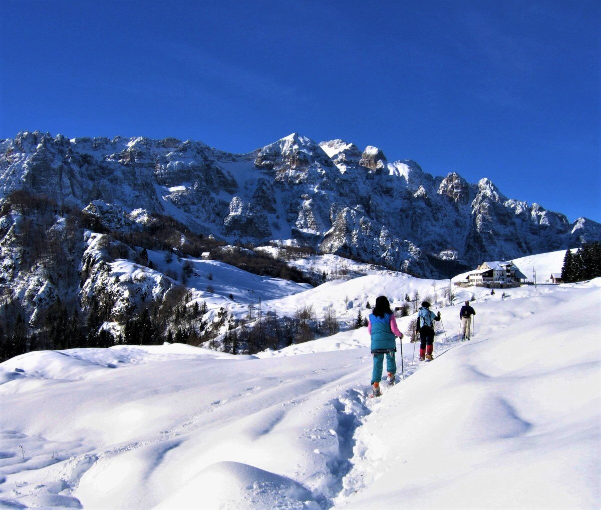 Ciaspolata a Cima Campogrosso nelle Piccole Dolomiti desktop picture