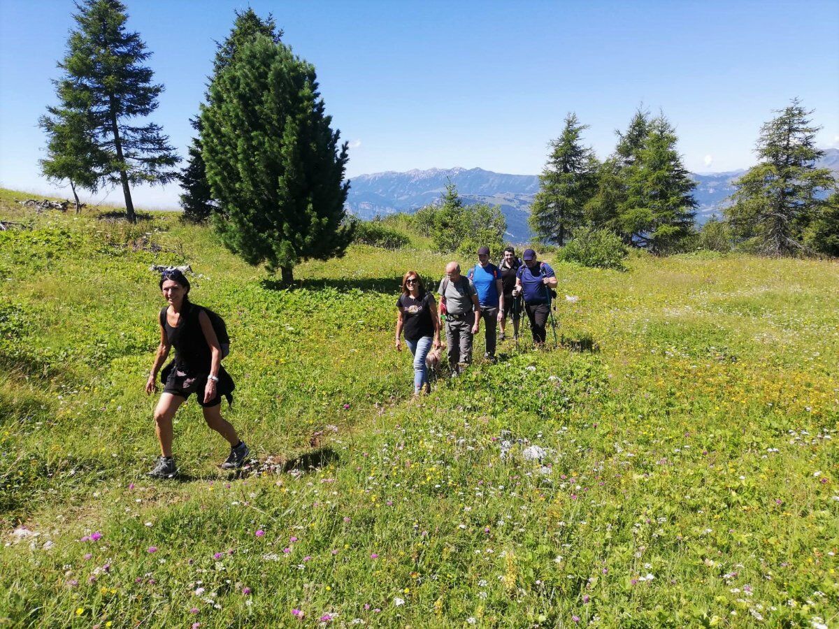 Un Trekking nella Storia sul Monte Zugna desktop picture