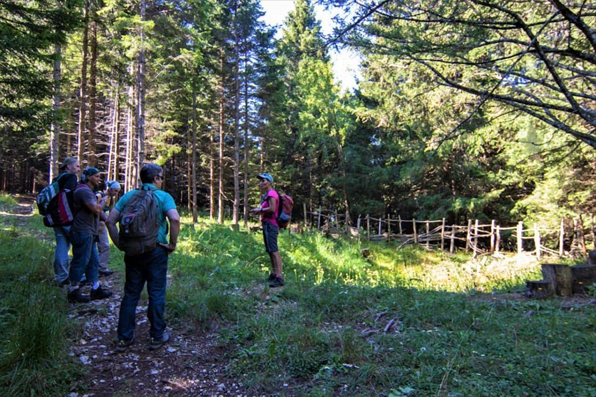 Un Trekking nella Storia sul Monte Zugna Un Trekking nella Storia sul Monte Zugna desktop picture
