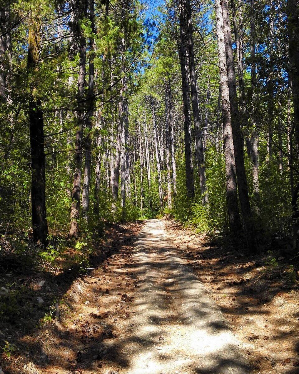 Il Passo dell'Osteria Bruciata e la Quarta Tappa della Via degli Dei Il Passo dell'Osteria Bruciata e la Quarta Tappa della Via degli Dei desktop picture