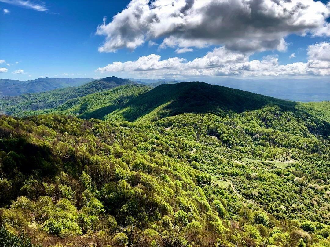 Il Passo dell'Osteria Bruciata e la Quarta Tappa della Via degli Dei Il Passo dell'Osteria Bruciata e la Quarta Tappa della Via degli Dei desktop picture
