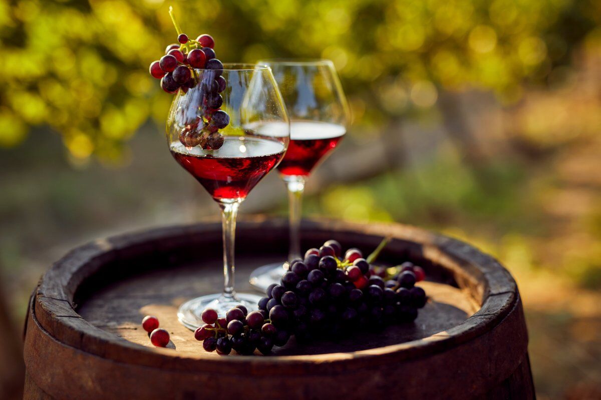 Degustazione di Vini ed Aceti Balsamici sui Colli Modenesi desktop picture