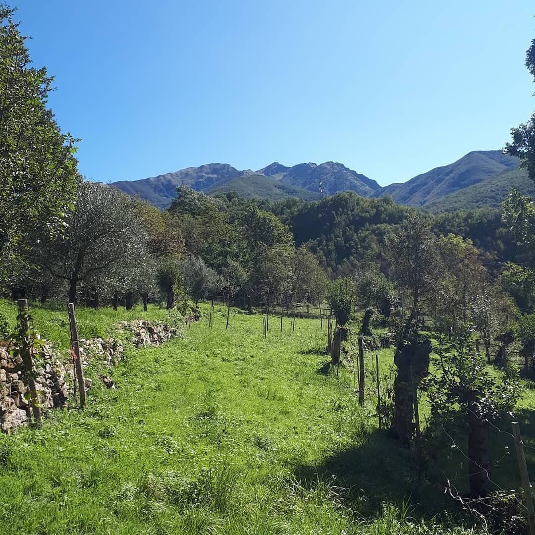 I Suggestivi Sentieri della Via Francigena in Lunigiana desktop picture