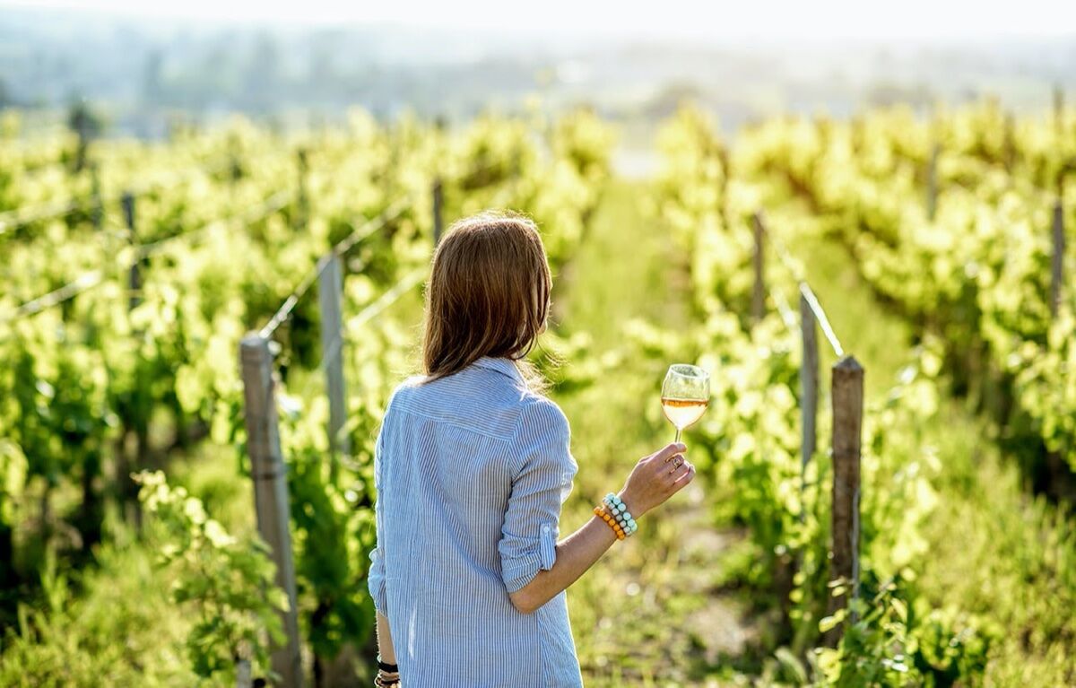 Slow Brunch tra vigneti e cantine Slow Brunch tra vigneti e cantine desktop picture