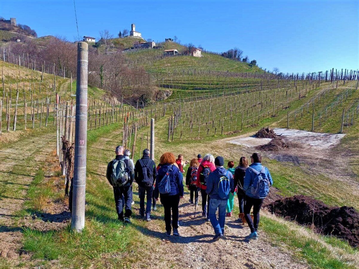 Passeggiata con Degustazione a Farra di Soligo: tra natura e sapori desktop picture