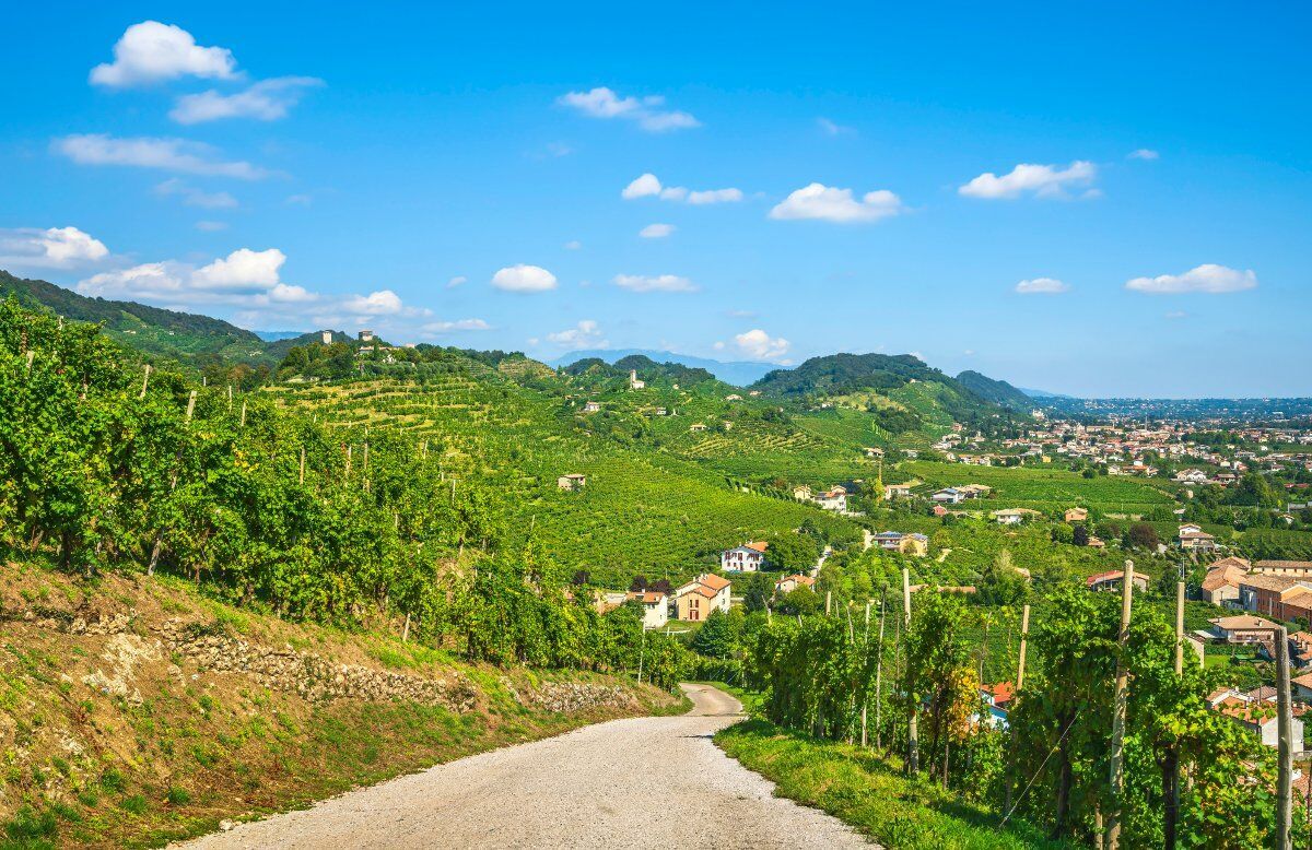 Passeggiata con Degustazione a Farra di Soligo: tra natura e sapori desktop picture