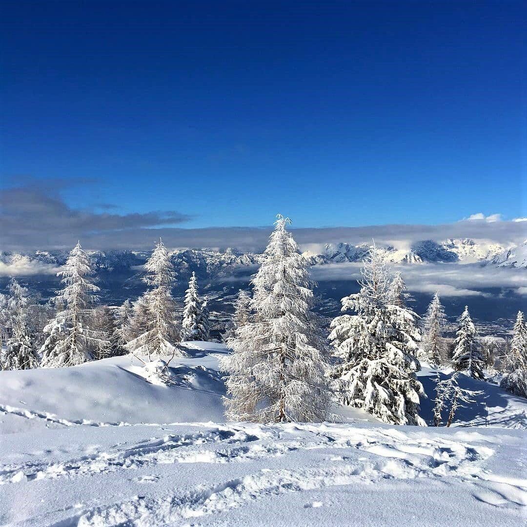 Ciaspolata da Sogno sulle Creste del Nevegal (Principianti) Ciaspolata da Sogno sulle Creste del Nevegal (Principianti) desktop picture