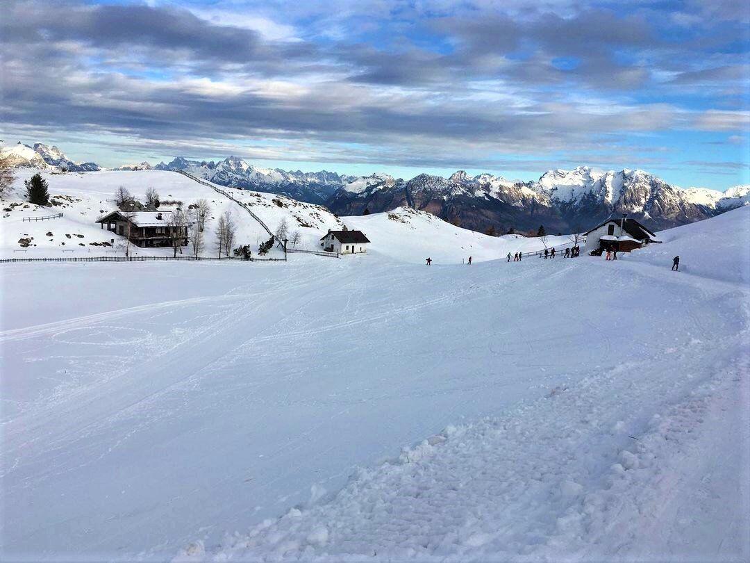 Ciaspolata da Sogno sulle Creste del Nevegal (Principianti) Ciaspolata da Sogno sulle Creste del Nevegal (Principianti) desktop picture