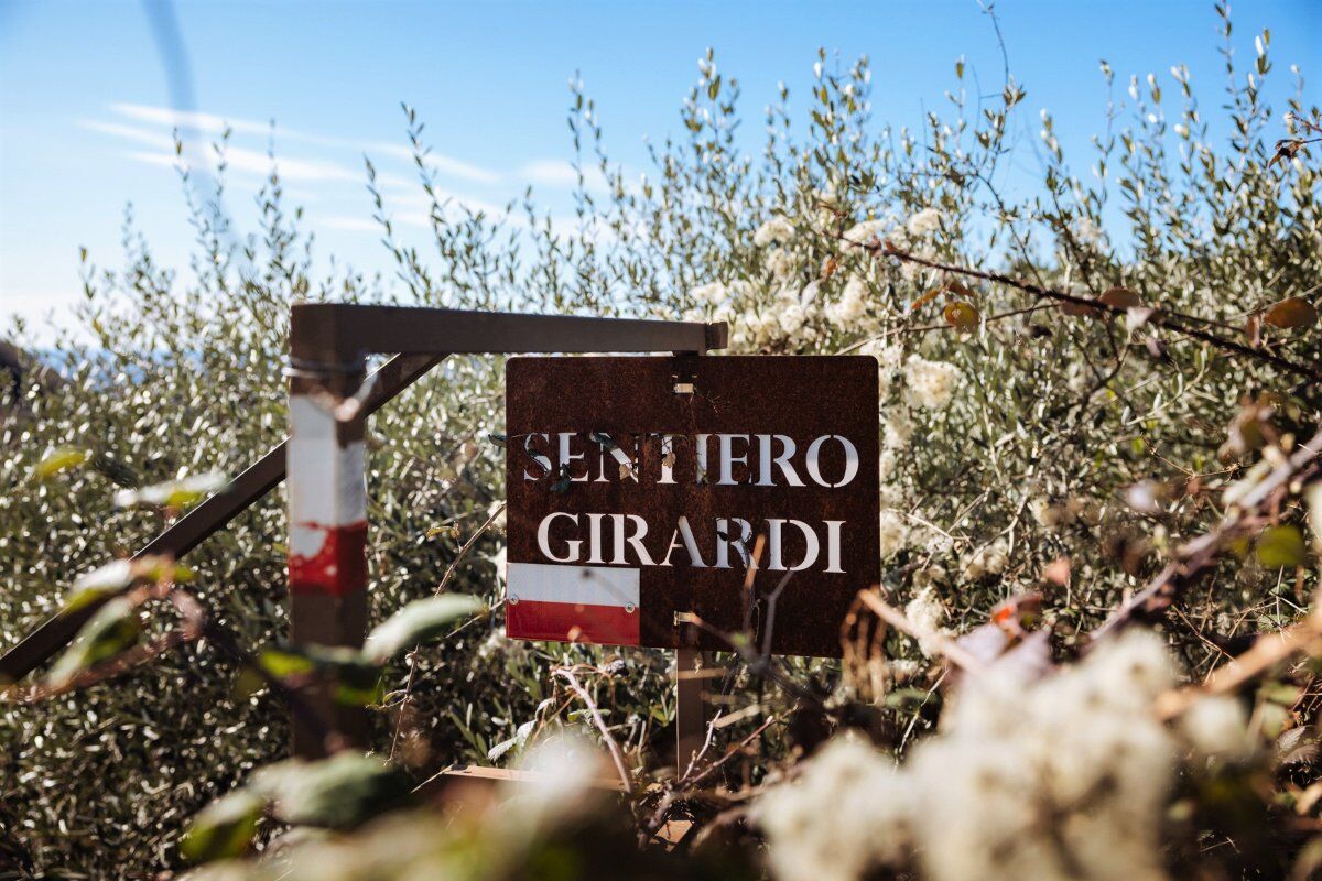 Il Sentiero Girardi: Escursione nelle colline veronesi desktop picture