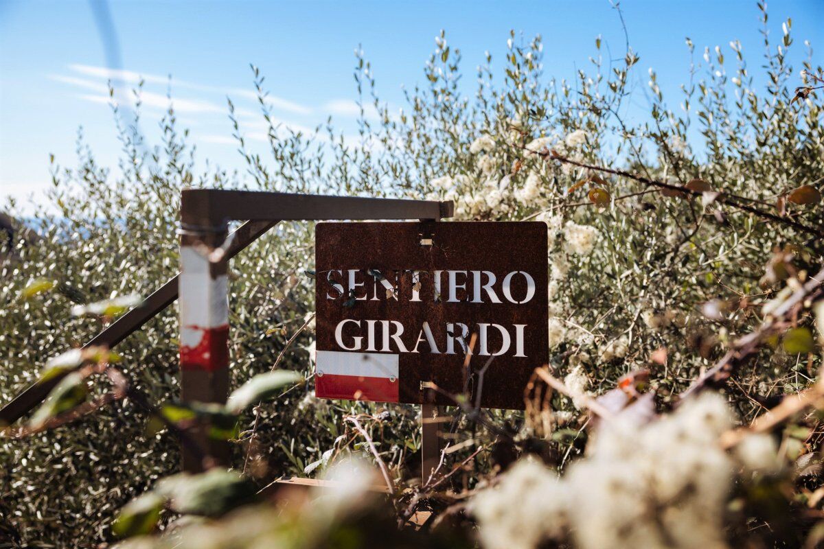 Il Sentiero Girardi: Escursione nelle colline veronesi e cotechino con pearà Il Sentiero Girardi: Escursione nelle colline veronesi e cotechino con pearà desktop picture
