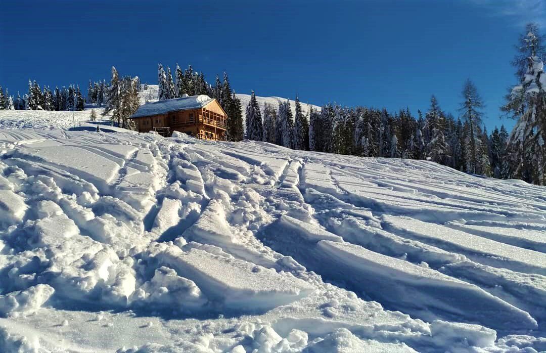 Ciaspolata sul Monte Zovo: Tra Panorami e Racconti Leggendari (Con Esperienza) desktop picture
