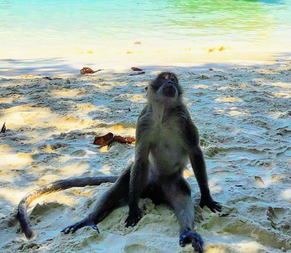 Alla Scoperta di Mete Lontane: la Thailandia (Online) Alla Scoperta di Mete Lontane: la Thailandia (Online) desktop picture