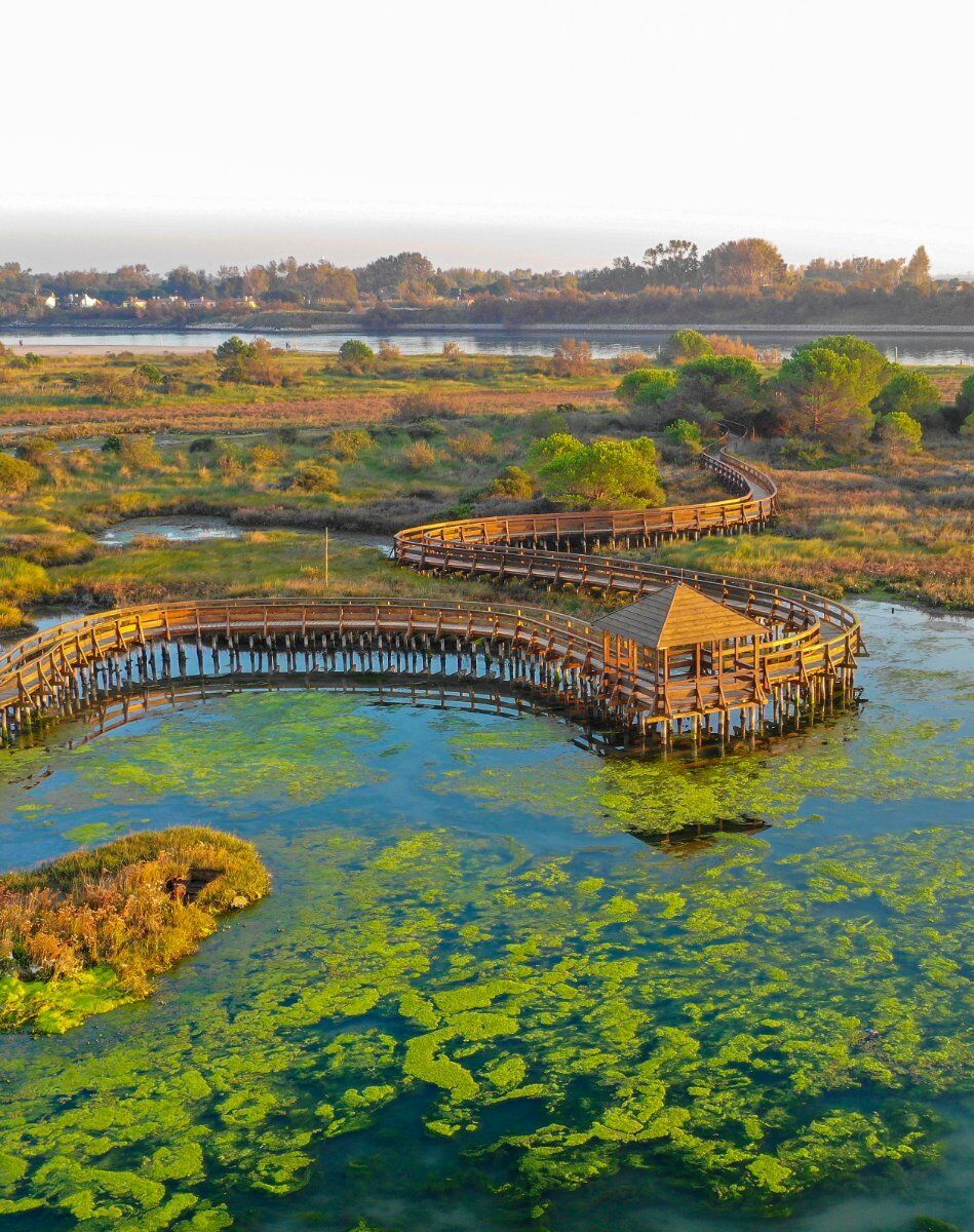 Passeggiata nel Giardino di Porto Caleri: La Magia del Delta del Po desktop picture