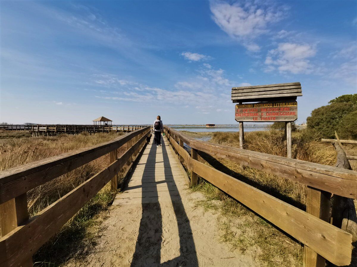 Passeggiata nel Giardino di Porto Caleri: La Magia del Delta del Po desktop picture