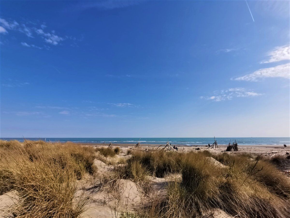 Passeggiata nel Giardino di Porto Caleri: La Magia del Delta del Po desktop picture