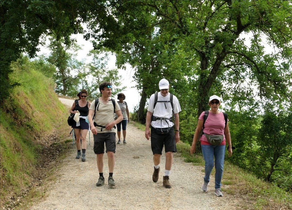 Itinerario nella Storia: il Borgo Medievale di Monteriggioni Itinerario nella Storia: il Borgo Medievale di Monteriggioni desktop picture