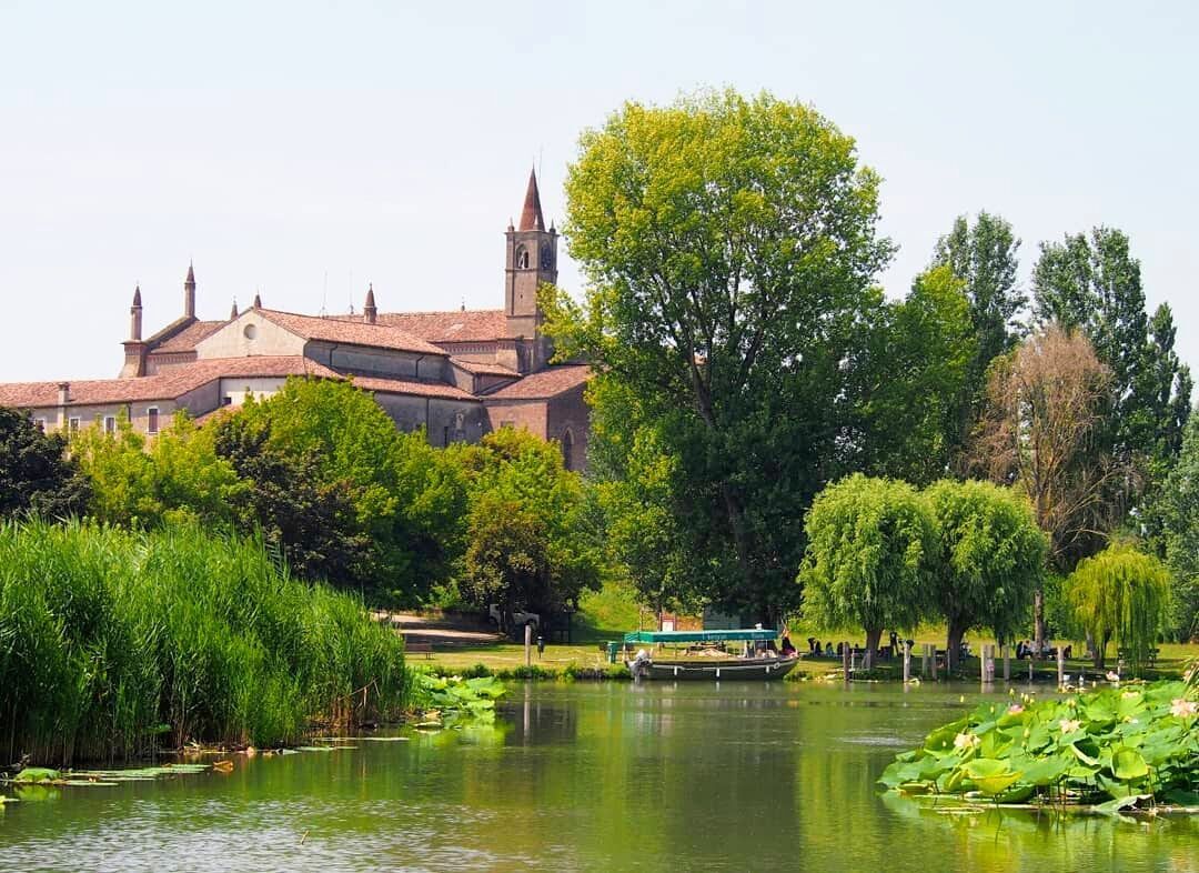 La "Thailandia" a Mantova: Tour in Barca per ammirare i Fiori di Loto desktop picture