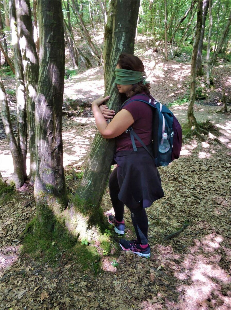 Passeggiata sensoriale nell'incantevole Parco del Curone Passeggiata sensoriale nell'incantevole Parco del Curone desktop picture