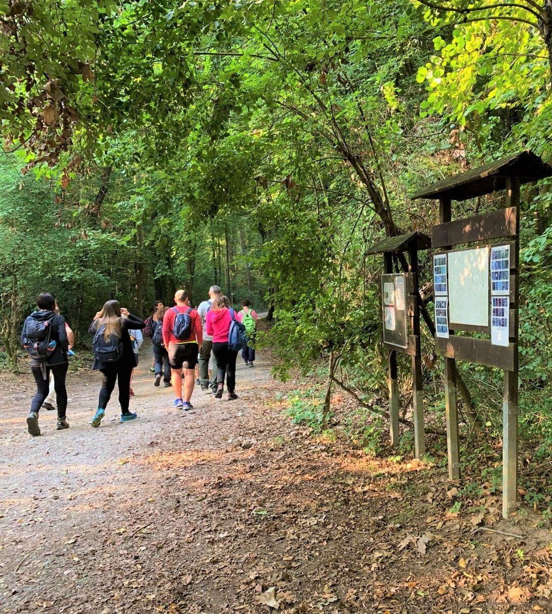 Passeggiata sensoriale nell'incantevole Parco del Curone Passeggiata sensoriale nell'incantevole Parco del Curone desktop picture